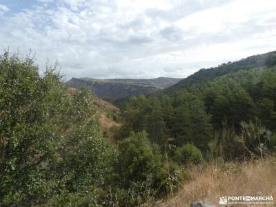 Meandros Río Lozoya - Pontón de la Oliva - Senda del Genaro GR300; las presillas rascafria fotos tor